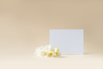 white sheet of paper with white flowers on a beige background