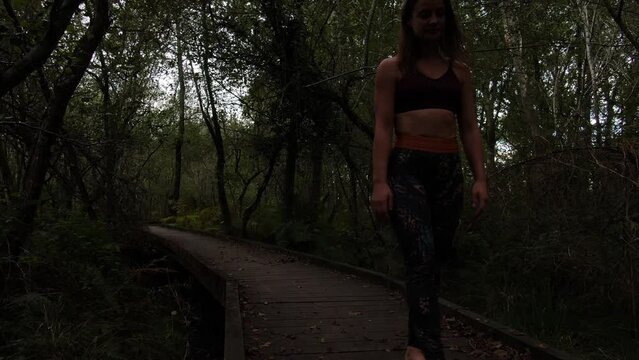 Person walking in the forest