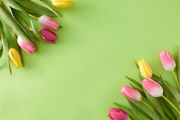 Spring atmosphere concept. Flat lay photo of bouquets of flowers yellow pink tulips on isolated light green background with blank space in the middle