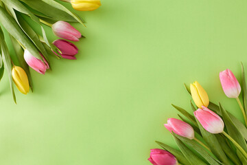 Obraz premium Spring atmosphere concept. Flat lay photo of bouquets of flowers yellow pink tulips on isolated light green background with blank space in the middle
