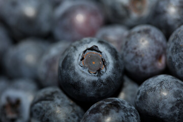 Fresh blueberries background top view concept of healthy and dieting eating big size high quality botanical prints vaccinium corymbosum family ericaceae