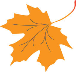 Naklejka premium Autumn maple leaf