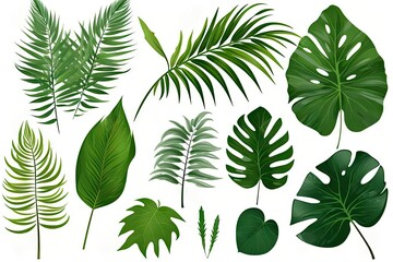 Set of Tropical leaves isolated on white background. Beautiful tropical exotic foliage created with Generative AI technology