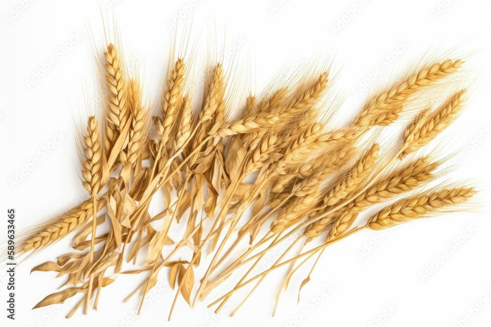 Aufkleber wheat isolated on white background, clipping path, full depth of field created with generative ai te
