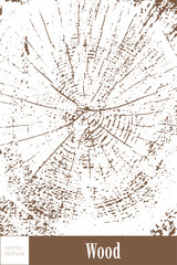 Layers of tree growth. A ring pattern on a cross-section of a piece of wood. Abstract background for cover, web background, screensaver, magazine. Vector illustration.