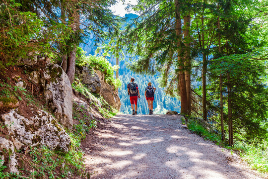 Hike through the forest. Couple Hiking  in the mountains in summer.