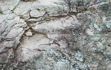 nature textures