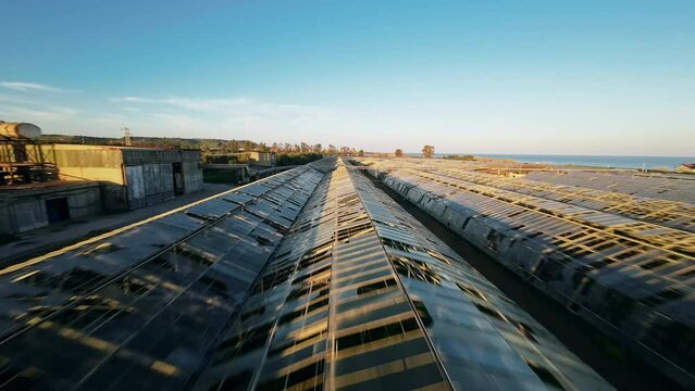 Abandoned Greenhouse at sunset light 
