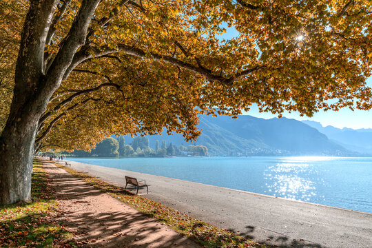 Paysage d'automne au bord du lac d'Annecy en Savoie