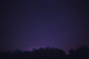 Fototapeta na wymiar starry night sky above trees