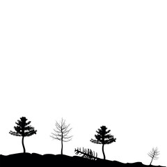 Forest landscape