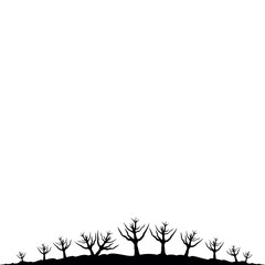Forest landscape