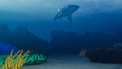 a shark swimming in the ocean. underwater view of a shark. exploration of the seabed. coral reef with a shark