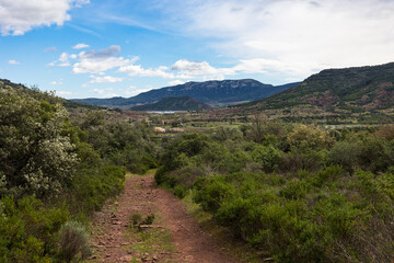 Fototapeta na wymiar Mont Liausson depuis un chemin de randonnée près du hameau de Rabejac
