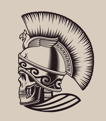 Vector illustration skull spartan in helmet