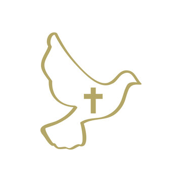 white dove, vector
