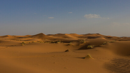 Fototapeta na wymiar Desierto del Sahara marroquí.