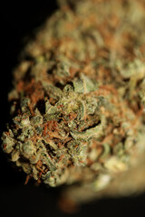 Prescription medical marijuana flower in black canvas cannabis bud weed strain super lemon haze botanical background big size high quality smoking prints