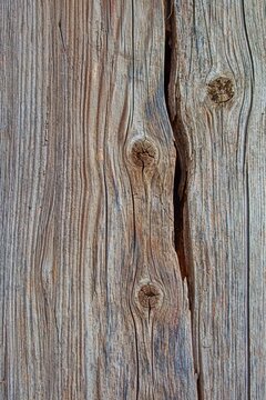 old wood, board with cracks and knots