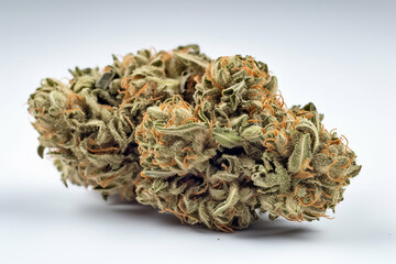 marijuana and cannabis dry sativa