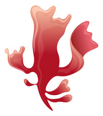 Red reef plant. Underwater flora. Sea coral