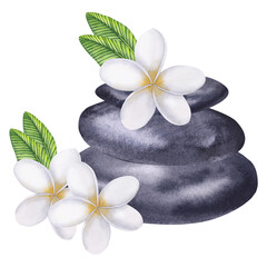 Fototapeta na wymiar Watercolor composition of stones and frangipani. Dark basalt pyramid with a tropical flower. Hand drawn watercolor illustration isolated on white background. For your design, advertising, cosmetics.