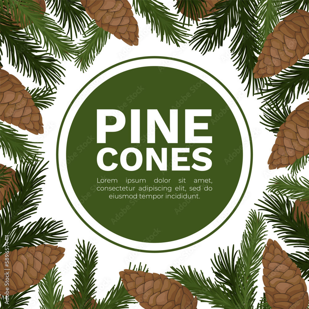 Poster pine cone banner design with needle tree branch vector template