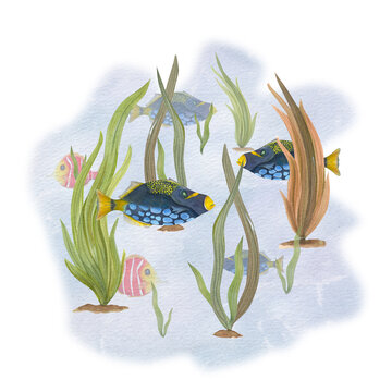 recommend clip art: Tropical fishes among sea plants isolated on watercolor background. Illustration can be used for wallpaper, print, baby textile, scrapbooking, postcards, clothing. Cartoon style.