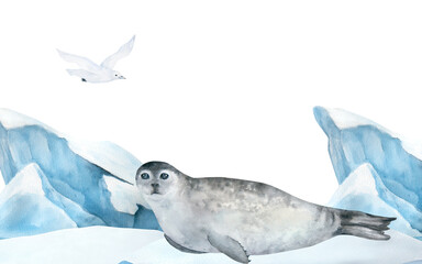 Seal and seagull watercolor illustration isolated on white background. Horizontal banner