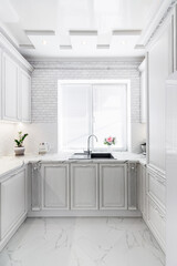 Fototapeta premium Modern interior with white kitchen and kitchen appliances in the country house