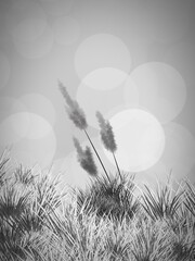 Gray blur background with grass field 