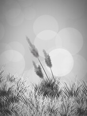 Obraz premium Gray blur background with grass field 