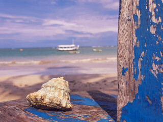 boat on the beach