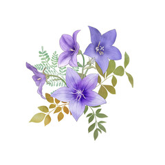 Fototapeta premium Spring Balloon flowers and leaves bouquet isolated on white. Blue star flower. Platycodon flower watercolor botanical illustration. Wild flowers blossom summer arrangement