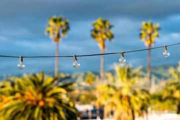 string lights and palm trees at sunset