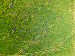 Aerial view of a farm fields in a sunny day