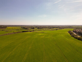 Aerial view of a farm fields in a sunny day