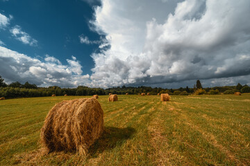 Haystacks on the field. Nature and agriculture.