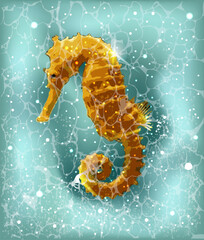 Seahorse summer party card, vector illustration