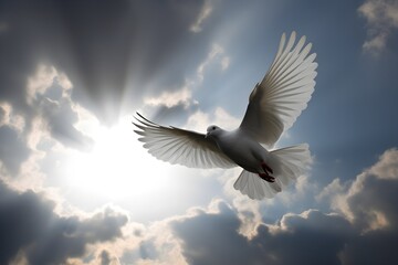 Obraz premium A white dove flying towards the light in a cloudy sky