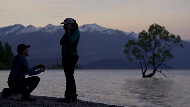 Man proposing marriage to woman in Wanaka Tree. South Island, New Zealand