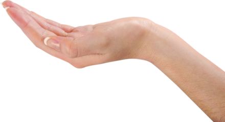 Cupped hands of a person on a white background