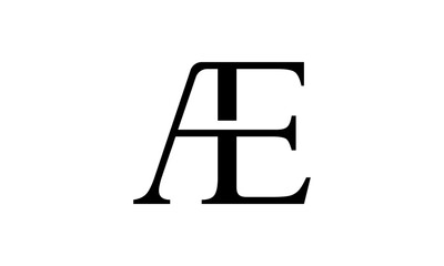Creative Vector Illustration Business Logo Design. Letter A and Letter E Combination
