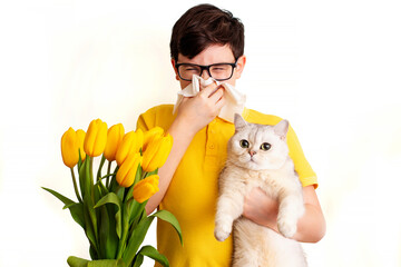 a dark-haired boy holds a white cat and covered his nose with a paper napkin and sneezes