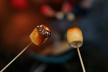 burning fire in compact grill, wood logs engulfed in red flames, closeup of fry marshmallows on...