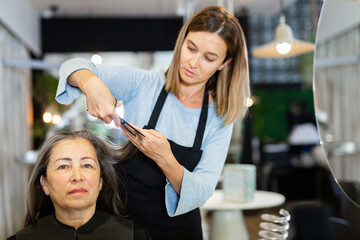 Portrait of elderly woman visiting professional hair salon. Skilled hairdresser cutting hair of female client with scissors.