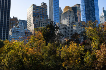 Obraz premium Colorful Trees during Autumn at Central Park with Midtown Manhattan Skyscrapers in the Background