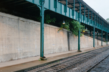 Plants Pushing Over Train Tracks