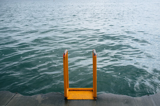 Ladder to the lake