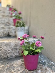 Fototapeta na wymiar Beautiful pink flowers in a pink flowerpot standing on old stone steps in a medieval Mediterranean town
